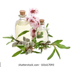Two glass bottles filled with almond oil and fresh almonds and flowers isolated on the white background