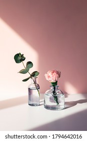 Two glass vases with a sprig of fresh eucalyptus and a rose standing on the table in the sunlight.