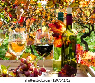 wine culture wine list