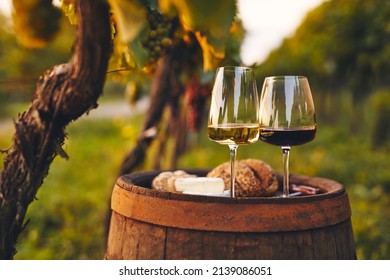 Two glasses of white and red wine on an old barrel outside in the vineyard