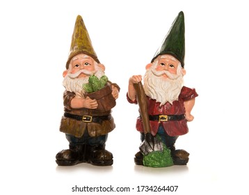 two gnomes isolated on a white background