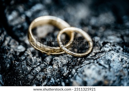 Two gold rings laid out on the ground side by side, symbolizing a bond or everlasting relationship