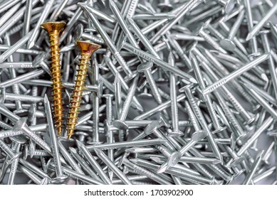 two gold screws in pile of nickel plated construction nails, Stand Out In Crowd conceptual.Business and business growth,individuality and independence.subject the personality and crowd.out the box.