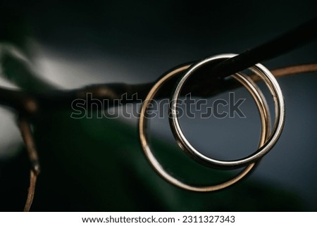 Two gold wedding rings on a tree branch illuminated by warm light
