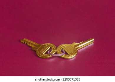 Two Golden Keys Are Joined By A Metal Ring On A Colorful Studio Background. Security And Guaranty Concept.