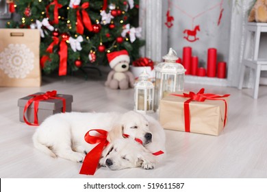 Golden Retriever Puppies Xmas Images Stock Photos Vectors Shutterstock