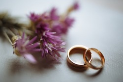 Two Golden Wedding Rings And Pink Flowers On White Background. Horizontally Framed Shot.