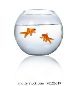 57,630 Background goldfish white Images, Stock Photos & Vectors ...