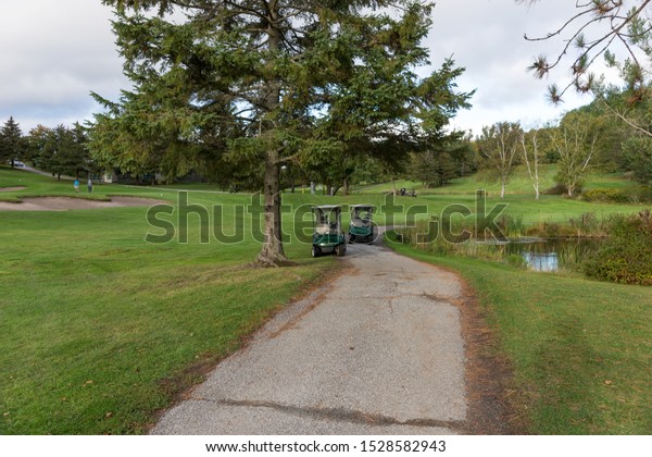 Two golf carts on\
the manicured golf course