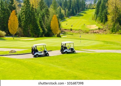 Two Golf Carts Over Nice Green Course