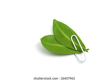 Two Green Leafs Linked With A Paper Clips