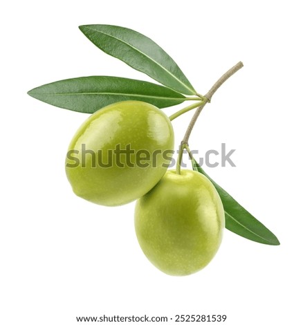 Two green olives with leaves isolated on white background. Clipping path.