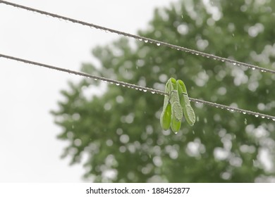 Two Green Plastic Clothespins On A Clothesline On A Rainy Day Outside The House 