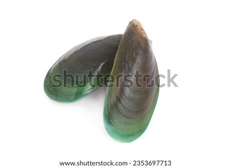 Two green-lipped mussels isolated on white background.