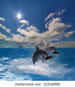 Two Grey Dolphins Jumping Above Blue Water