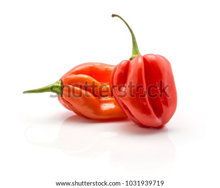 Two Habanero chili red orange hot peppers isolated on white background
