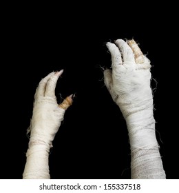 Two Hand Of Mummy On Dark Background.