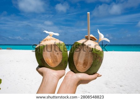 Two hands hold Coco Palm Dhuni Kolhu Maldives coconuts with frangipani and a straw on a white sand beach by a turquoise lagoon in bright midday sun, symmetrical view.