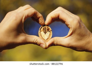 Dos manos haciendo signo cardíaco con una nuez en forma de corazón