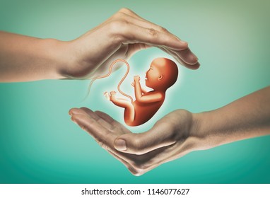 Two hands on green background with embryo in center.