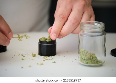 Two Hands Using A Weed Grinder To Shred The Buds. Herb Grinder.