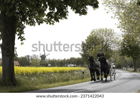 Two in hands with wedding carriage