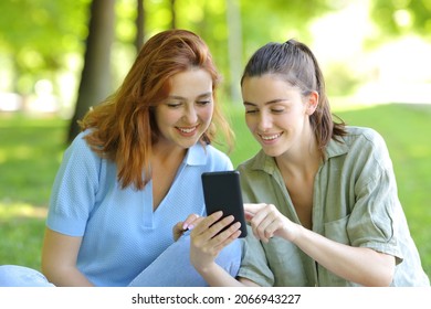 Two Happy Friends Watching Smart Phone Content In A Park