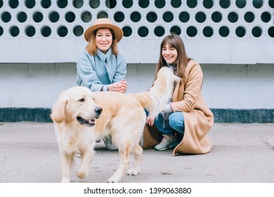 Two Happy Laughing Female Sisters With Running Away Dog Golden Retriever Outdoor Over Gray Wall Background. Women Fed A Playful Dog, Pet Playing With Girls Outdoor.