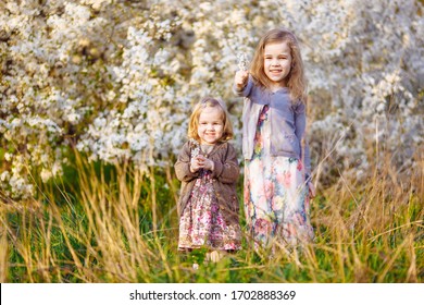 two happy little girls with blond hair in the thickets of blooming bushes with twigs in his hands. warm spring and blossom. - Shutterstock ID 1702888369