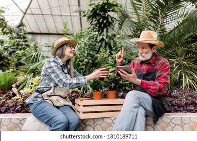 Two Happy Smiling Retired Gardeners In Straw Hats And Checkered Shirts, Sitting In Greenhouse And Analyzing The Amount And Types Of Green Plants, Man Using Ipad Tablet Fro Work