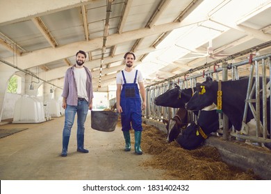 Two Happy Smiling Young Men, Dairy Farm Workers In Rubber Boots And Work Clothes, Standing And Looking At Camera After Feeding Cows In Stables In Big Barn On Typical Working Day