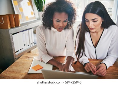 Two hardworking young female entrepreneurs working together on a laptop computer reading the screen with serious engrossed expressions, high angle view