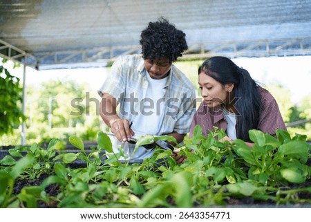 Two high school students are studying plant and vegetable cultivation with focus and care. They carefully record observations in a notepad, highlighting education, and sustainability learning.