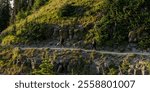 Two Hikers Along Highline Trail In Glacier National Park