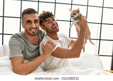 Two Hispanic Men Couple Hugging Each Other Sitting On Bed With Chihuahua At Bedroom