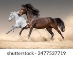 Two horse run free in desert sand