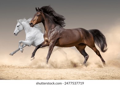 Two horse run free in desert sand