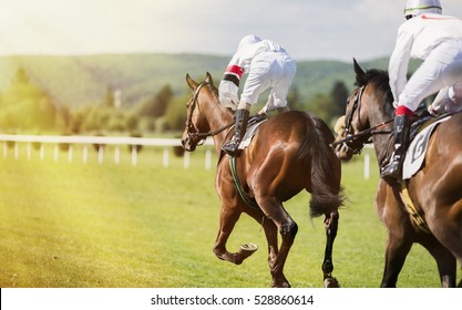 Two horses and jockeys competing in the race. the sunlit path and two jockeys on racing horses. Racing Circuit competition.