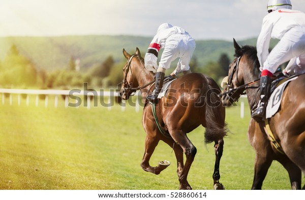 Two\
horses and jockeys competing in the race. the sunlit path and two\
jockeys on racing horses. Racing Circuit\
competition.