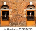 Two Horses Looking Out From Stable Doors