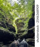 Two Horses, One Black and One Brown, Walking In Between Large Cliffs Surrounded by Green Trees in Baraboo Wisconsin