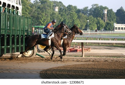Horse Starting Gate High Res Stock Images Shutterstock
