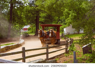 Two horses pull a wagon down a dirt path surrounded by greenery and rustic buildings on a sunny day