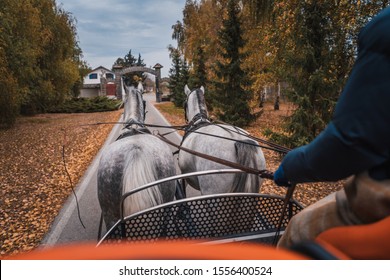 Two Horses Pulling Wagon In Nature