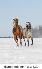 Two horses running through snowy landscape