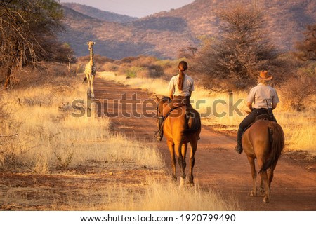 Two horsewomen watch southern giraffe on track