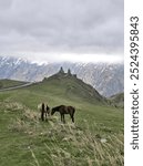 Two horsies and their hill. I took this shot when visiting Gergeti Trinity Church located near the village of Stepantsminda (Kazbegi). That day was extremely freezing yet stunning till now :)