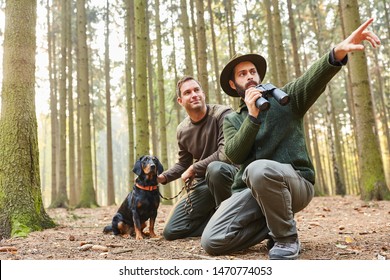 Two Hunters With Binoculars And With Hound As Hound On The Stalk In The Forest