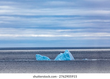 Two icebergs float in the ocean under a cloudy sky, showcasing the natural beauty and fragility of polar environments.