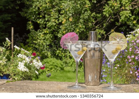 Two iced cocktails and shaker in a flower filled country garden